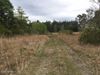 9201 Pine Top Rd S photo